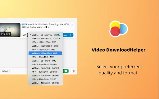 Download Video DownloadHelper Terbaru – Unduh Video Web Mudah - Screenshot 2