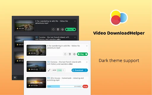 Download Video DownloadHelper Terbaru – Unduh Video Web Mudah - Screenshot 3