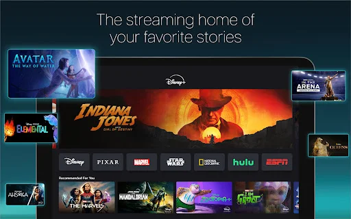 Download Disney+ APK Terbaru – Streaming Film & Serial Terbaik - Screenshot 5