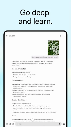 Download ChatGPT Terbaru – Asisten AI Cerdas Gratis di HP - Screenshot 10