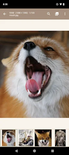 Download Read Chan APK Terbaru – Pengalaman 4chan Terbaik - Screenshot 5