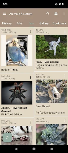 Download Read Chan APK Terbaru – Pengalaman 4chan Terbaik - Screenshot 1