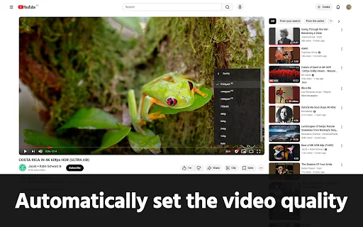GoodTube: Adblock YouTube Terbaik & Hapus Shorts Tanpa Deteksi - Screenshot 4