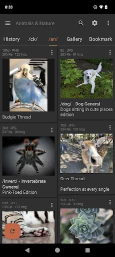 Download Read Chan APK Terbaru – Pengalaman 4chan Terbaik - Screenshot 2