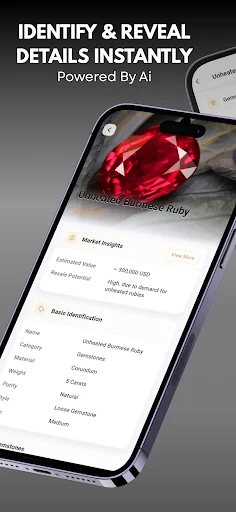Download Jewelry Identifier Terbaru – Cek Batu Permata Gratis - Screenshot 12