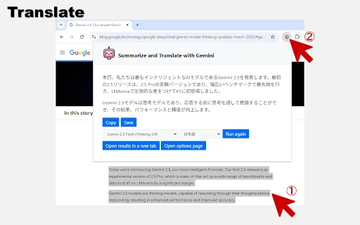 Summarize and Translate with Gemini – Ringkasan AI Cepat - Screenshot 3